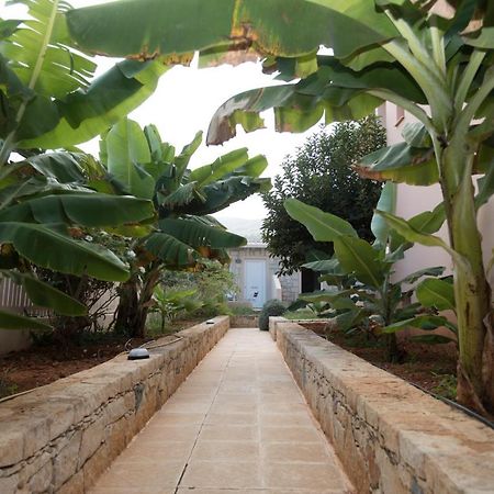 SUNSET studios&apts Malia Exterior foto